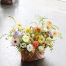 (주)닥터로빈 이미지