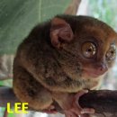 지인안경 이미지