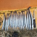 들밥 나들이 이미지