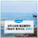 경북 상주 갈만한곳, 상주시내와 황금들판이 그림같이 펼쳐지는 명산::월간 SNS 서포터즈 [상주시] 이미지