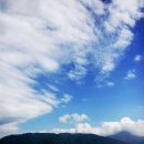 농소항 | [3일차 - 08/11] (거제도) 소매물도, 거제도