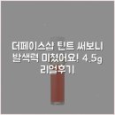 더틴트샵 | 더페이스샵 틴트 써보니 발색력 미쳤어요! 4.5g 리얼후기