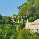 제주킹방역 | 제주 돔그라미 펜션 15개월 아기와 함께한 독채 숙소 후기