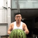 으랏 차차차 이미지