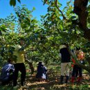 상남면 행정복지센터 이미지