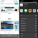 조이스덴탈 | 교토 여행 가볼만한곳 + 교토 호텔 숙소 예약 꿀팁