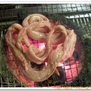 토영자갈치곰장어 이미지