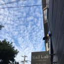 네일랩(NAIL LAB)