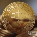 스테이블루 이미지