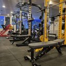 백프로짐 이미지