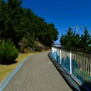 증산~삼척해변 이미지