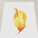 당신의 꽃그림, 보태니컬 아트 이미지