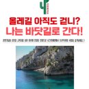 선인장서프 네이버블로그