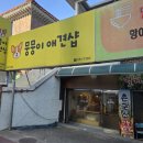 이브애견샵 이미지