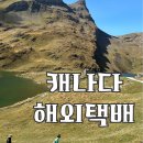 오천우체국 | 한국에서 캐나다 택배 우체국 해외택배 10% 할인받고 보내기