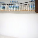 에이스 캣 이미지