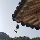 풍경소리 이미지