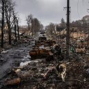 삼손전자 이미지