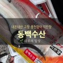 고창 풍천장어 맛집 풍천장어 직판장 동백수산 솔직후기