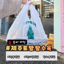 마천주유소 | 송파 마천동 탕수육 맛집| 제주돼지고기 바삭한 포장 탕수육 후기