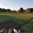 인성리-2 이미지