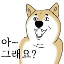 공차 부산동아대부민점 이미지