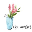나눔유 이미지