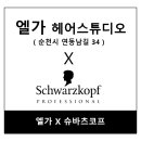 엘가헤어스튜디오