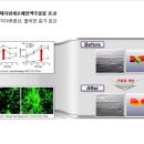 스템케이