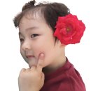 홀섬 민박 이미지