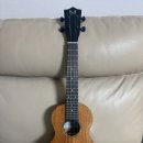 우쿨렐레연주 | 뉴진스하니 우쿨렐레로 유명한 마카나 M-50C 직접 연주해본 후기