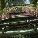 제1신정주유소 이미지