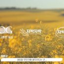 유튜버로 인싸 되기 이미지