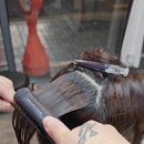 카락 | 신당동미용실 여자 헤어스타일 단발 머리 고민 이신분? 곱슬머리 볼륨매직 퇴색된 머리 카락