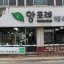 펫1번가미용 이미지