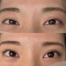 양정24시약국 | 연산동 근처 양정숲칼프 in 오화뷰티 속눈썹 연장 맛집