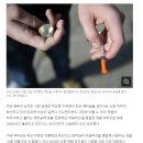 미국에서 유행하는 신종 마약 ㄷㄷㄷㄷ 이미지