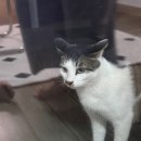 학하민박 이미지