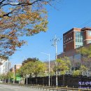금곡대로 229번길 이미지