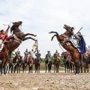 더마파크 이미지