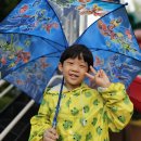 비☔️가 내려요~~~ 🌂 이미지