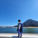 영해면 송천강변 네이버블로그