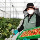 동도여관 이미지