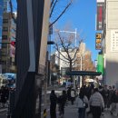 중앙대로1 이미지