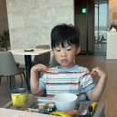 [여수여행] 여수 한화 벨메르 호텔 마린드리플 조식 여수 오션뷰 레스토랑 방문 후기