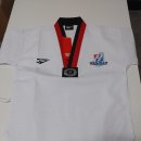 한플러스 태권스쿨 이미지