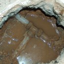 하대동119 이미지