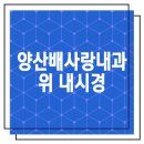 배사랑내과 이미지