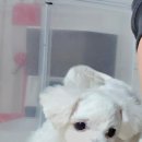 니니앤제리 이미지