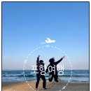 죽도공원공영주차장 앞 | 추천 | 호미곶 유채꽃, 구룡포 일본인가옥거리, 죽도시장 장터분식 칼국수, 영일대 해수욕장, 스카이...